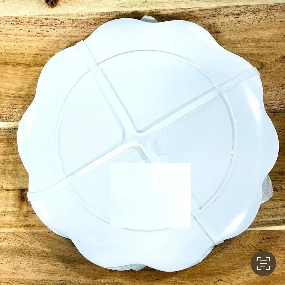 NWT Gorgeous Rachel Ashwell Set of 4 White Red Tomatoes Melamine Salad 9” Plates